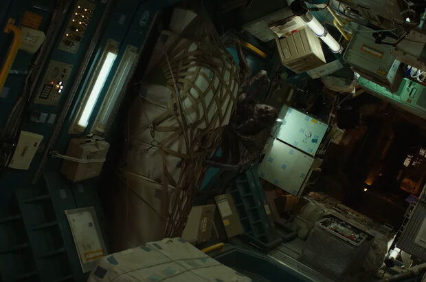 Spaceman (2024) - photo 6