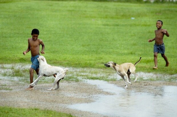 Sugar (2008) - photo 1