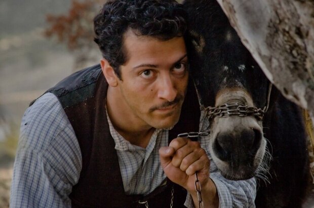 Almanya: Welcome to Germany (2011) - photo 5
