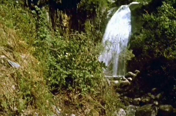 Сказка о старом кедре (1963) - фото 4