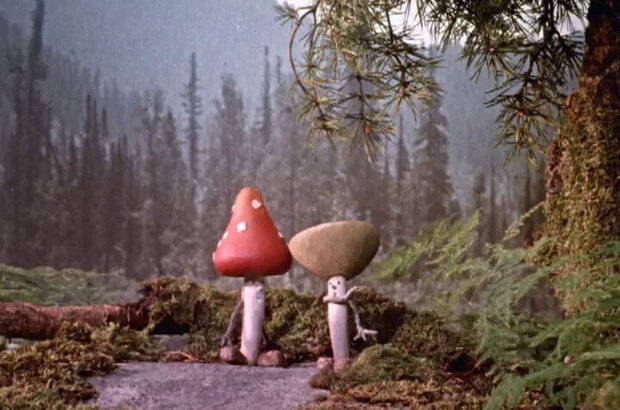 Сказка о старом кедре (1963) - фото 1
