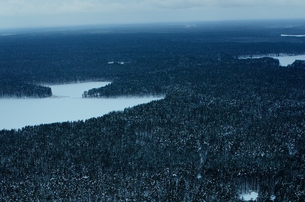 Plakat nelzya (2020) - photo 8