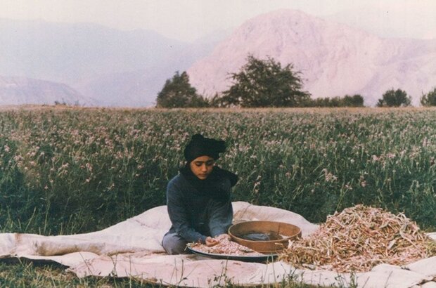 The Pear Tree (1998) - photo 1