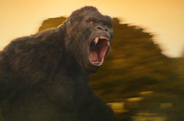Kong: Skull Island (2017) - photo 7