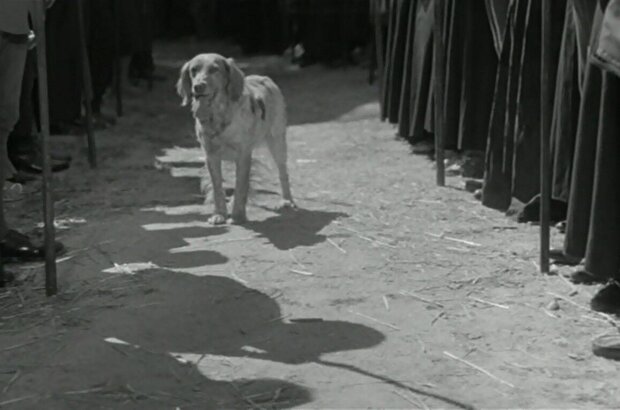 Процесс Жанны д’Арк (1962) - фото 8