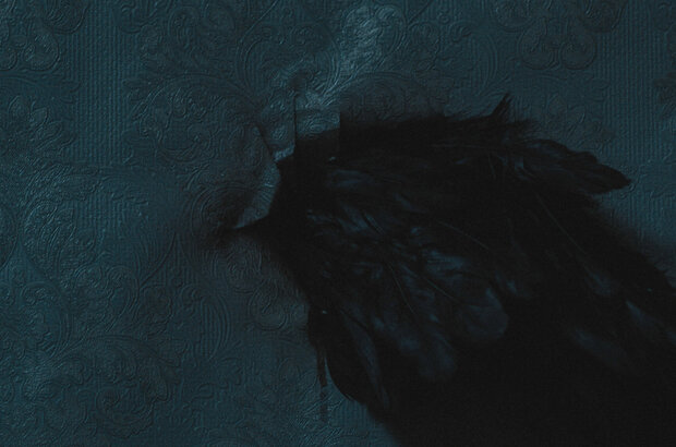 Room 203 (2022) - photo 38