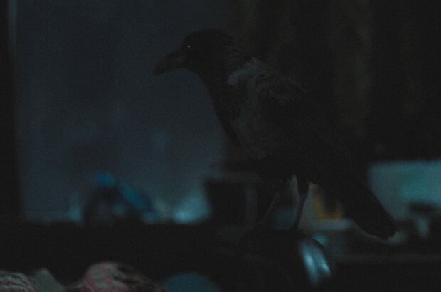 Room 203 (2022) - photo 17