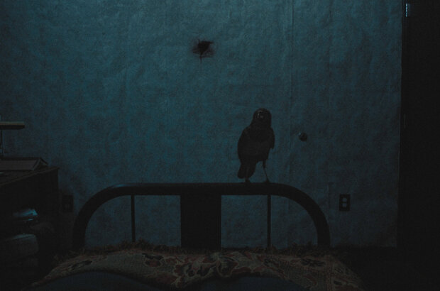 Room 203 (2022) - photo 11