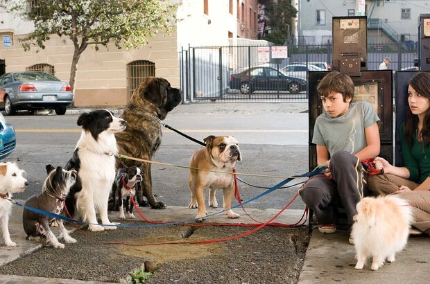 Hotel for Dogs (2009) - photo 1
