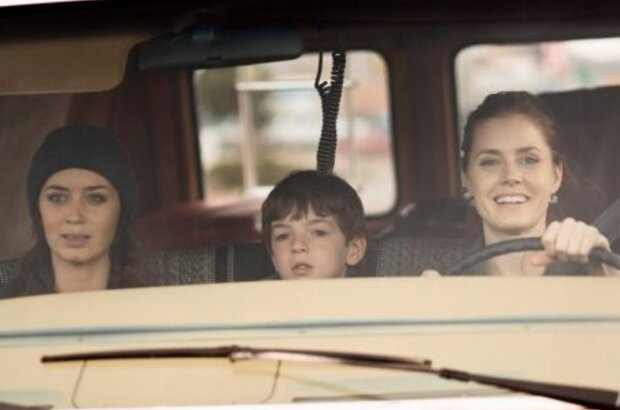 Sunshine Cleaning (2008) - photo 6