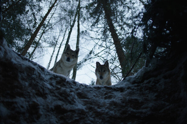 The Pilot. A Battle for Survival (2021) - photo 7
