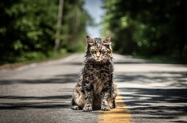 Pet Sematary (2019) - photo 1