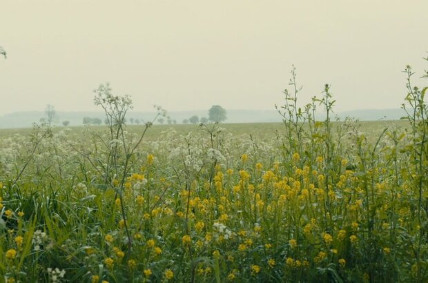 1917 (2019) - photo 6