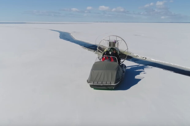 Краткое пособие по воспитанию тюленей (2020) - photo 1
