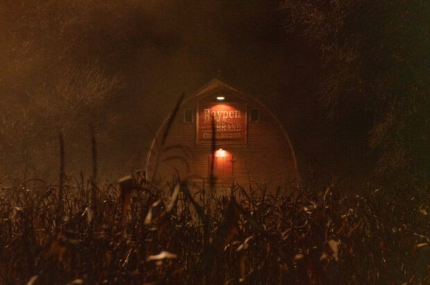 Clown in a Cornfield (2025) - photo 4