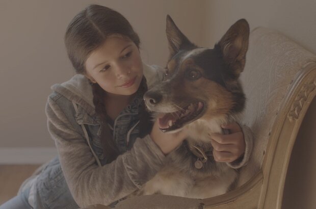 Pups Alone (2021) - photo 1