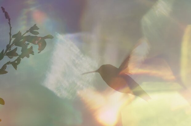 Every Little Thing (2024) - photo 1