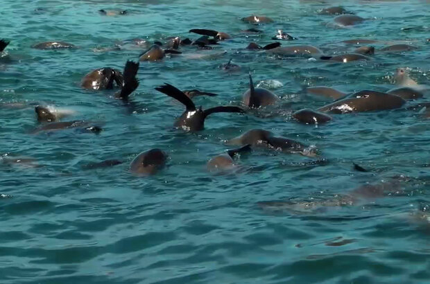 Our Earth: Our Oceans 3D (2013) - photo 1