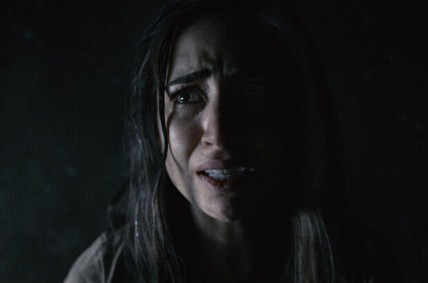 The Evil Next Door (2020) - photo 4