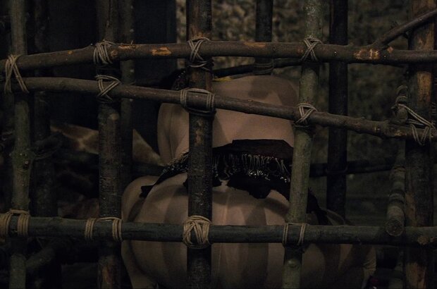 Черная Венера (2010) - фото 5
