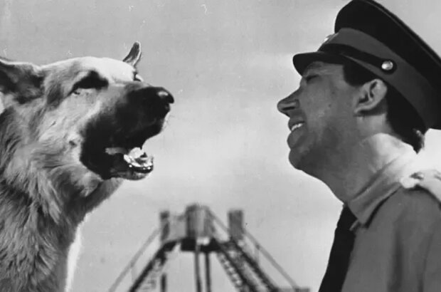 Come Here (1965) - photo 2