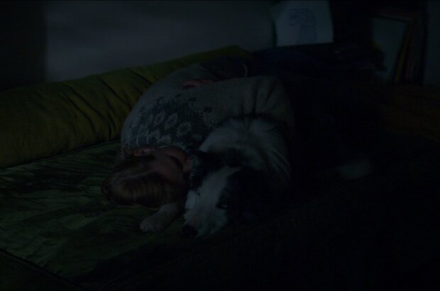Anatomy of a Fall (2023) - photo 5