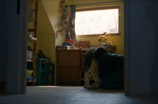 Anatomy of a Fall (2023) - photo 11