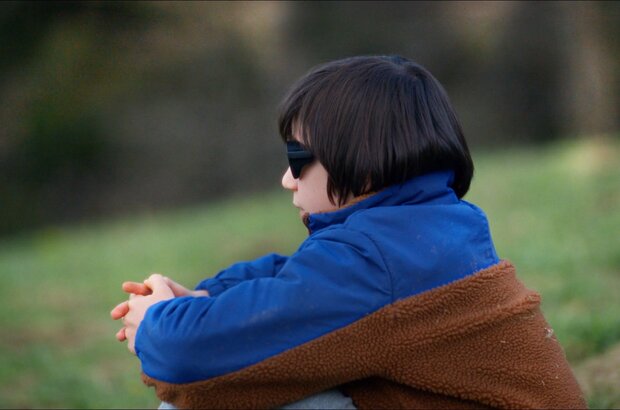 Anatomy of a Fall (2023) - photo 7
