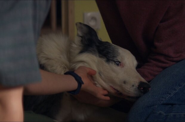 Anatomy of a Fall (2023) - photo 12