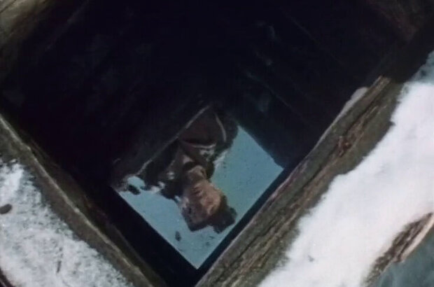 Polar Fox Napoleon III (1978) - photo 16