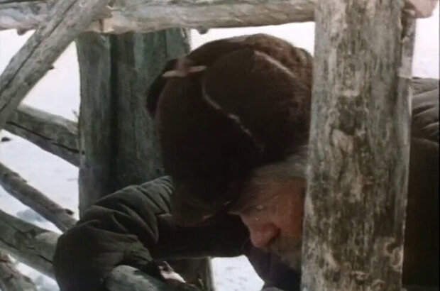 Polar Fox Napoleon III (1978) - photo 11