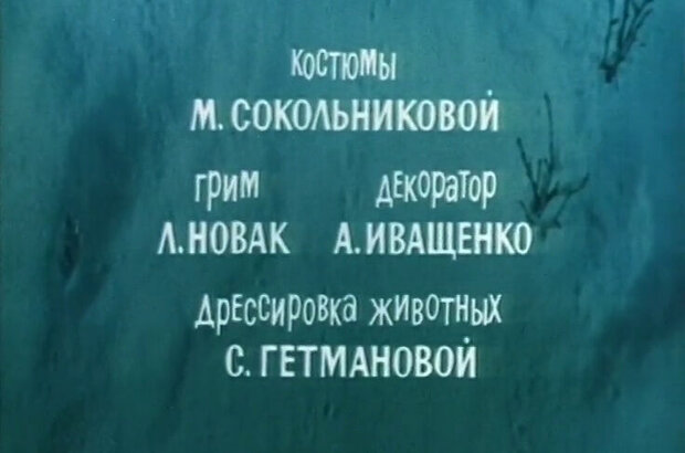 Polar Fox Napoleon III (1978) - photo 10