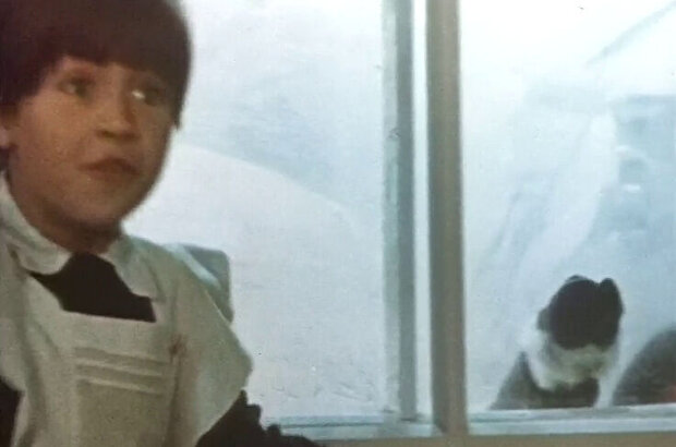 Polar Fox Napoleon III (1978) - photo 1