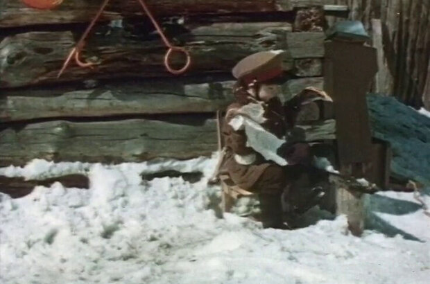Polar Fox Napoleon III (1978) - photo 18