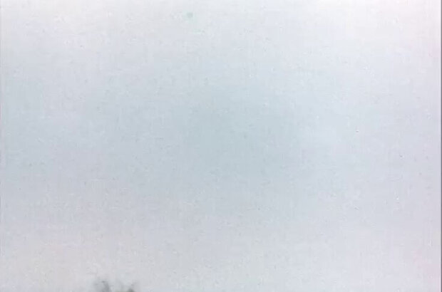 Polar Fox Napoleon III (1978) - photo 4