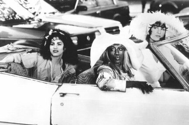 To Wong Foo Thanks for Everything, Julie Newmar (1995) - photo 6