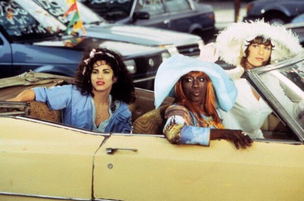 To Wong Foo Thanks for Everything, Julie Newmar (1995) - photo 4