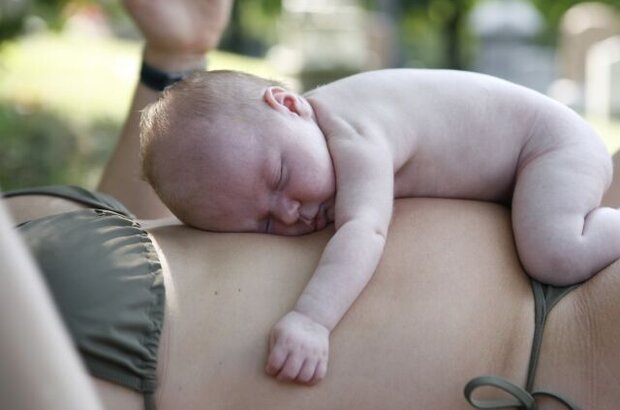The Baby Formula (2008) - photo 1