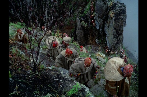 Aguirre, the Wrath of God (1972) - photo 1