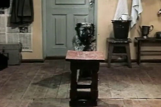 Boatswain (1975) - photo 54