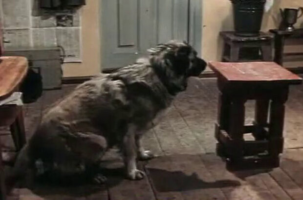 Boatswain (1975) - photo 32