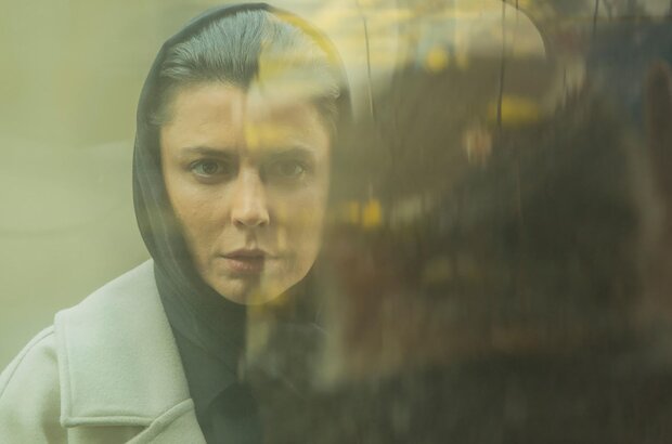 The Old Bachelor (2024) - photo 1
