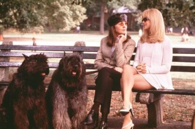 Town & Country (2001) - photo 1