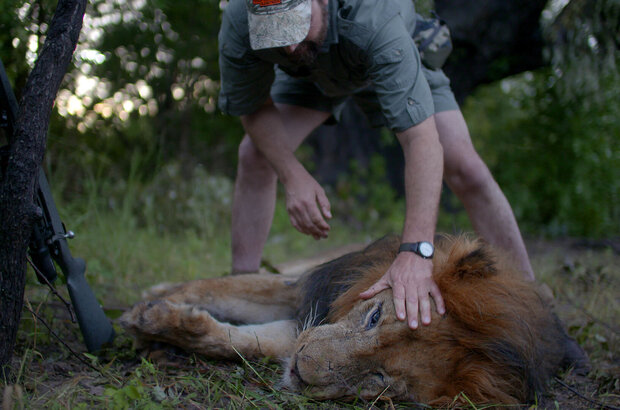 Trophy (2017) - photo 1