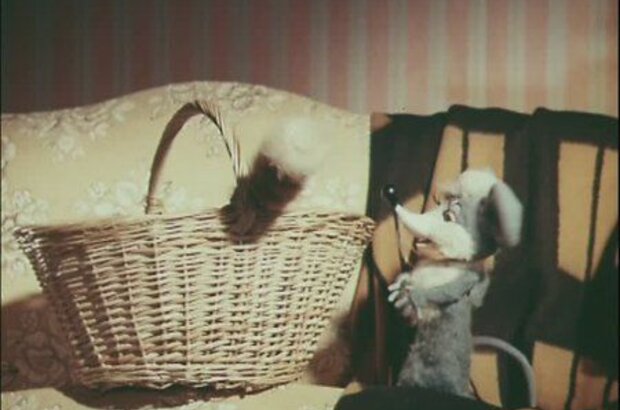 Кошки-мышки (1975) - фото 4