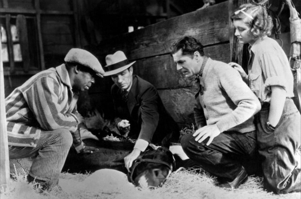 Broadway Bill (1934) - photo 8