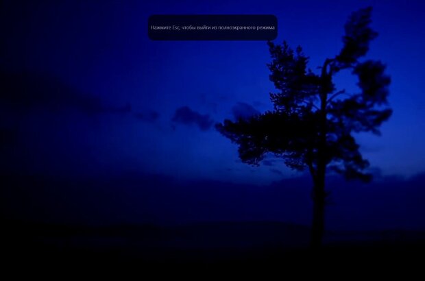 Явление природы (2010) - фото 2