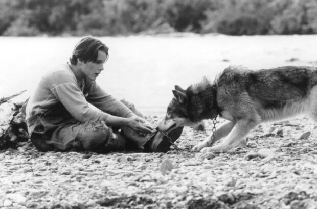 White Fang (1991) - photo 1