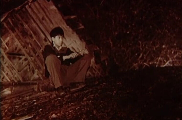 Balkon (1988) - photo 9
