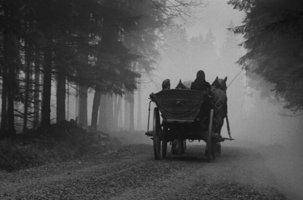 Повозка в Вену (1966) - фото 2